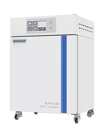 Tủ ấm CO2 Biobase BJPX-C50/ C80/ C160/ C80S/ C160S Tủ ấm CO2 Biobase BJPX-C50/ C80/ C160/ C80S/ C160S
